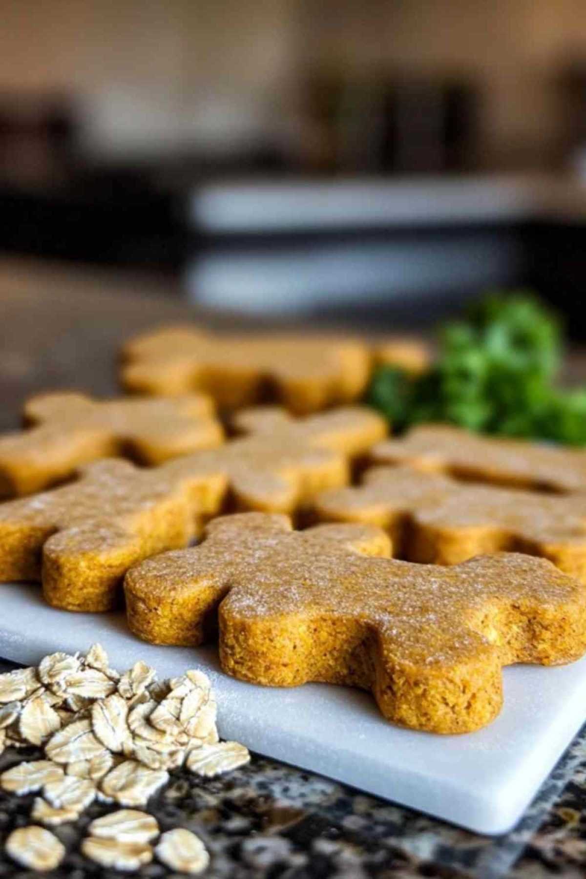 Friandises maison pour chiens aux carottes et à la citrouille disposées sur une assiette
